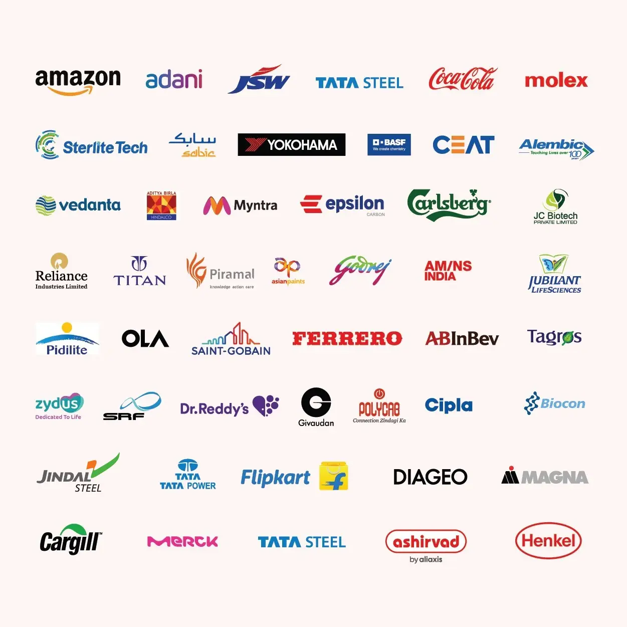Logos of companies BRIGS has worked with, including Amazon, Adani, JSW, Tata Steel, Coca-Cola, Reliance, Cipla and Cargill