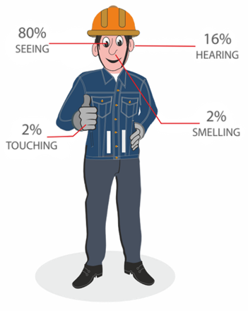 Human sesnses in percentage for visual workplae